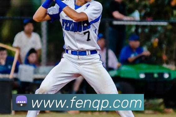 世界杯官方网络平台平台生态图